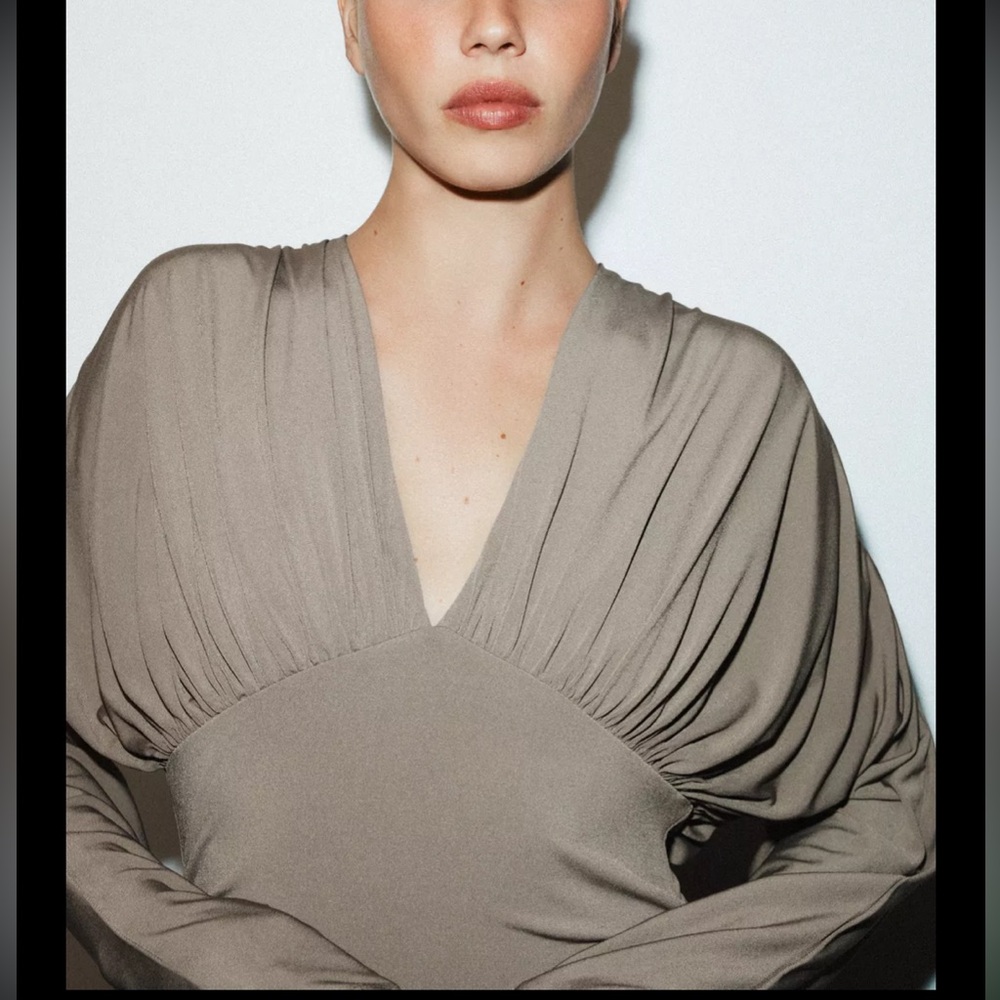 Zara limited edition voluminous Taupe Long-Sleeve Dress with back tie - Picture 4 of 14